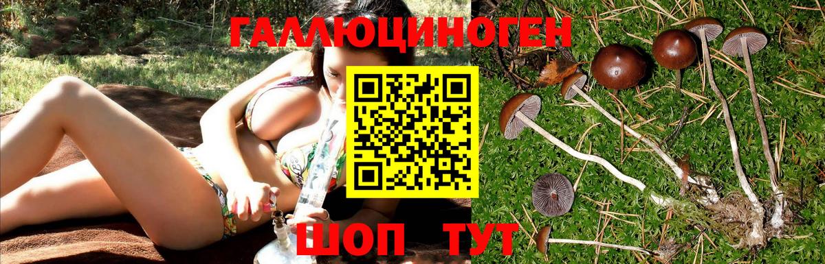 Галлюциногенные грибы ЛСД Егорьевск