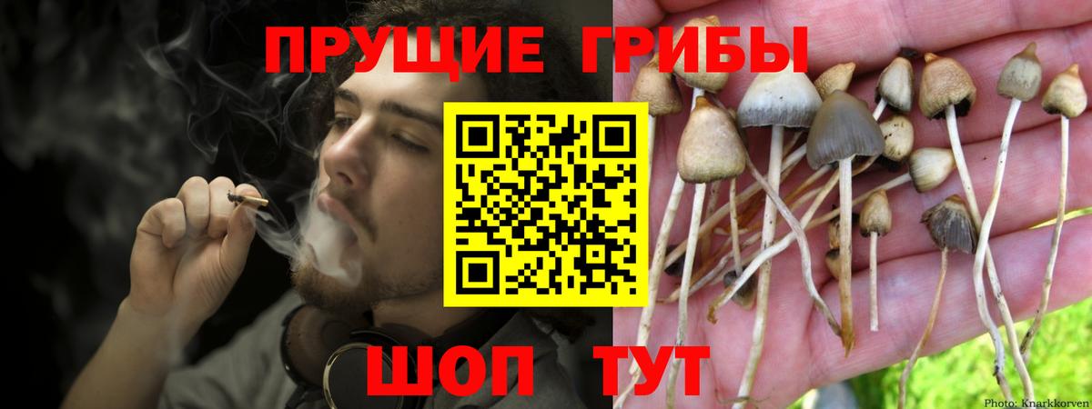 Псилоцибиновые грибы Psilocybe  Галлюциногенные грибы ЛСД  Егорьевск  Вход с VPN 